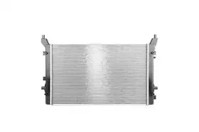 Радиатор, охлаждение двигателя BSG купить